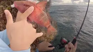 First fishing trip of 2024! - Catching Moanas for my Grandma!