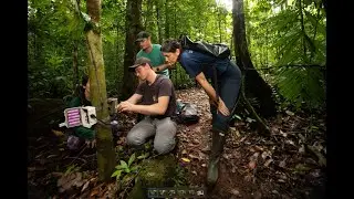 Protecting Wildlife With AI - Sentinel in Costa Rica