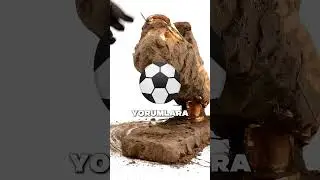 Ronaldo'nun Bu Adamı İşe Aldığına İnanamıyacaksınız😱