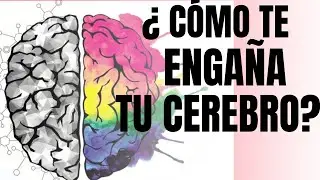 ¿TU CEREBRO TE ENGAÑA? - Análisis de Super Thinking - Modelos mentales filsóficos