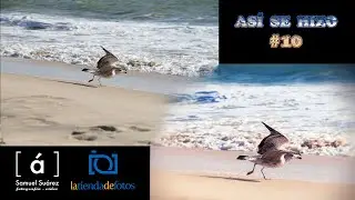 Así se hizo #10