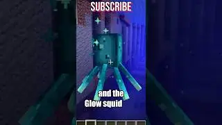 What is the Glow Squid in Minecraft 