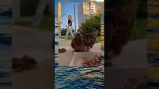 Меня снимаешь?🤨