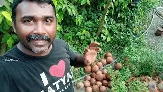 LK Healthy Soil Farm Progress | Episode 4 |