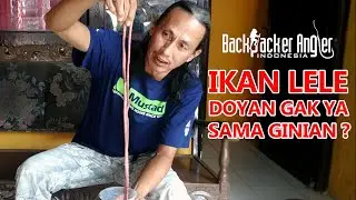 RAMUAN KLASIK GALATAMA LELE