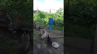 Красотки на работе