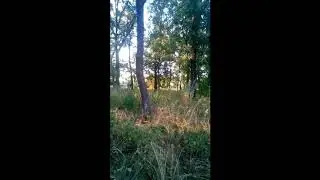 22 07 2020 голубовское обстрел