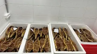 Омуль холодного копчения в коптильне Федотова в Новосибирске 🔥Вялим и Коптим🔥