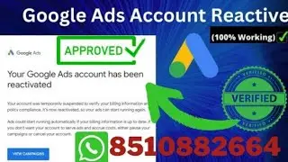 Reactive Suspended Google Adwords Accounts Unsuspended Successful google Ads Accounts Recover