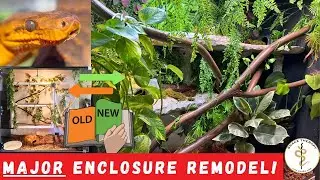 Transforming Snake Enclosures: Forest Habitat DIY Ideas +UVB | Part 2