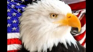 God Bless the USA 2020