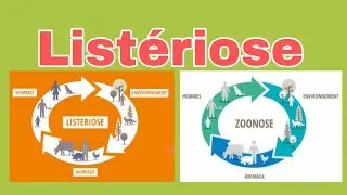 listériose @vetoszone