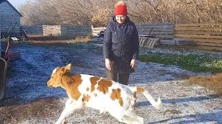 ПЕРВОЕ ЗНАКОМСТВО! ОНИ ЧУДО КАК ХОРОШИ!
