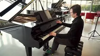 PIANO DEMO: Petrof 284 Mistral - Calm
