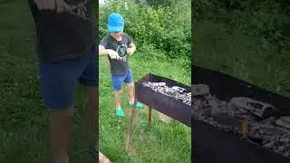 дачник