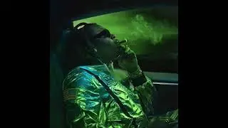 [FREE] Gunna x Young Thug Type Beat - 