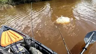 Atenção!!! não pisque os olhos nem olhe para os lados ! e um peixe atrás do outro #pescaria