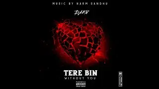 DAKU - TERE BIN (WITHOUT YOU)
