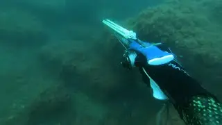 Найти тень.  Подводная охота в Черном море.