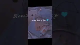 Вопросы на которых нет ответа 💙