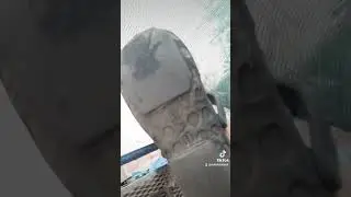 вечьные подкрадули