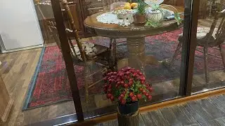 Пересадила цветочки🙏) навела порядочки) сходили в магазин) долма детям
