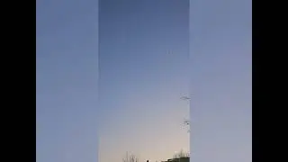 200+ brids in flying V