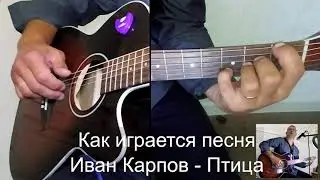 Как играется песня: Иван Карпов - Птица                                   