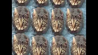 Котлеты из Вискаса(Пародия на Filthy Frank)