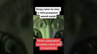 Мем из тик тока #тикток #хочуврек #fyp #shorts #short