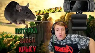 Пятерка Завел Крысу.Новая Вебка