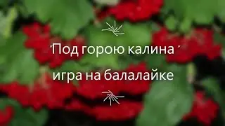 "Под горою калина" игра на балалайке. Бердская детская музыкальная школа им. Г.В. Свиридова