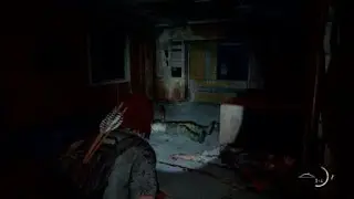 Flecha flash The Last of Us™ Parte II
