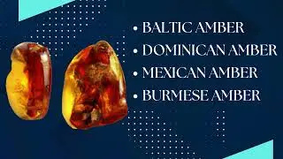 Baltic Amber Gemstones - Natural Fossilized Beauty by SilverAndGold.com