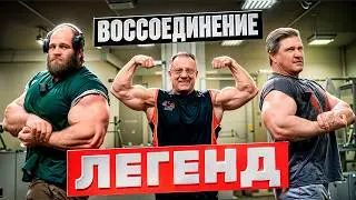 SMAEV AND YASINOVSKY GIVE EVERYONE SYNTHOL