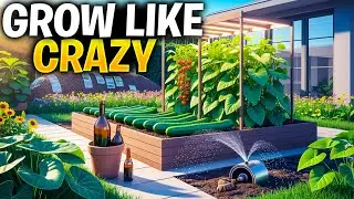 Backyard Gardening Tricks That Actually Work