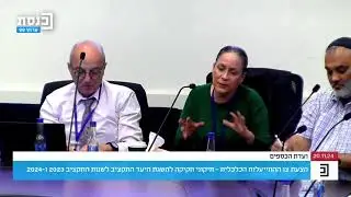 המדינה צריכה לסבסד לעסקים קטנים מערכות של הקצאת מספרי חשבוניות | ועדת כספים
