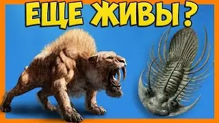Что будет, если ОЖИВИТЬ ВЫМЕРШИХ ЖИВОТНЫХ?