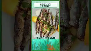 지식나눔 특강 2회차