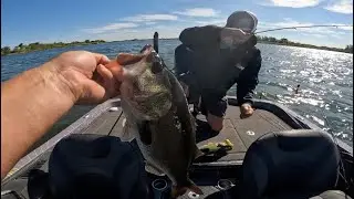 Back on the Delta and we Caught TOO Many FISH