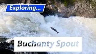 Buchanty Spout, Perthshire, Scotland.