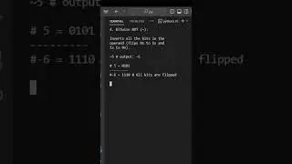 Python Bitwise Operators 