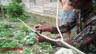 cara mikat burung serindit