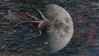 Sound ƒuries—«BLOOÐ MOON BLOOM»