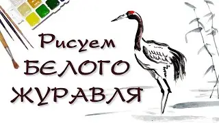 КАК НАРИСОВАТЬ ЖУРАВЛЯ. How to draw crane.