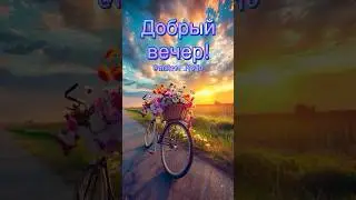 Хорошего вечера 