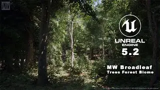 MW Broadleaf Trees Forest Biome | Unreal Engine 5.2 Demo Update
