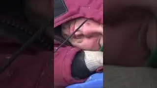 С Таёжным утром