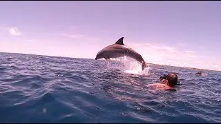Snorkeling à Petite Terre 2