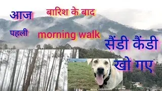 लगातार बारिश के बाद मौसम#pahad #barsat#barish#mausam #doglover#Sandysandy#indian#street#dog